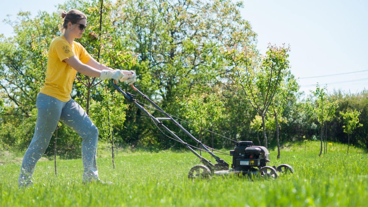 yard safety