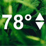 Temperature Monitoring